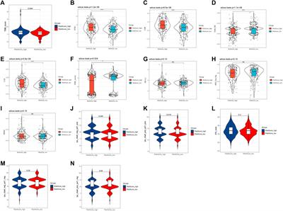 Prognosis-related genes participate in immunotherapy of renal clear cell carcinoma possibly by targeting dendritic cells